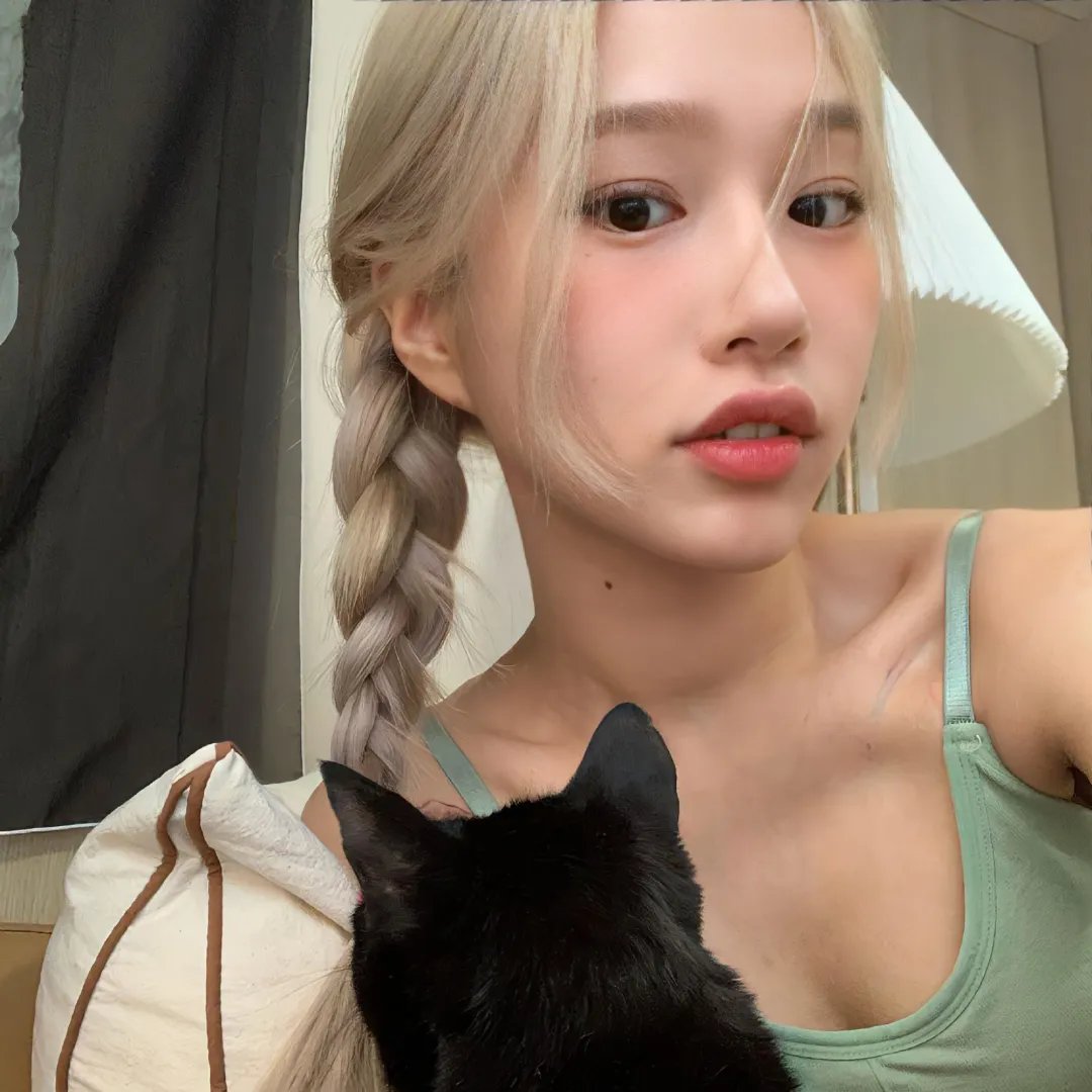 萌犬好声音4