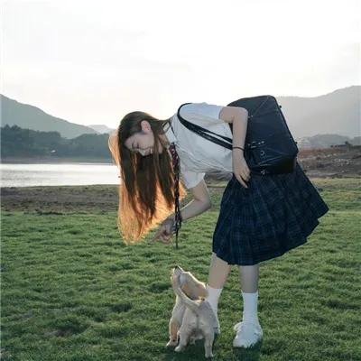 宝窗选婿