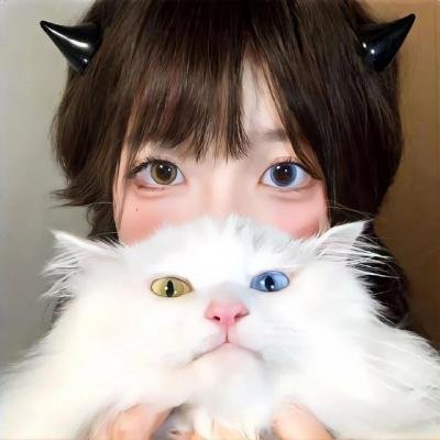冒牌总统